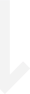 Layer 41